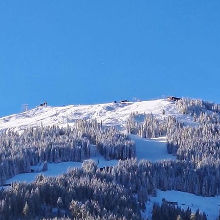 Haus Raimund " Klein Aber Fein " Apartment Alpbach Ngoại thất bức ảnh
