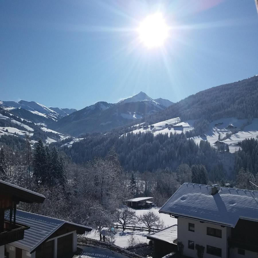 Haus Raimund " Klein Aber Fein " Apartment Alpbach Ngoại thất bức ảnh