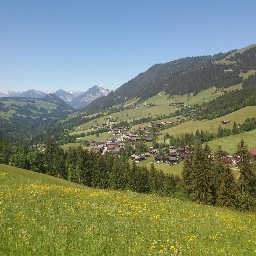 Haus Raimund " Klein Aber Fein " Apartment Alpbach Ngoại thất bức ảnh