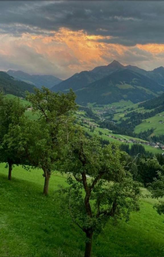 Haus Raimund " Klein Aber Fein " Apartment Alpbach Ngoại thất bức ảnh