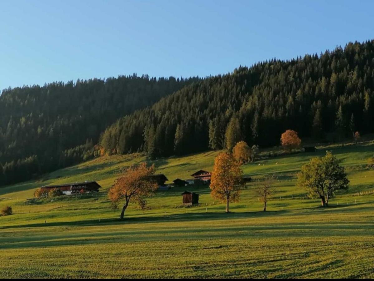 Haus Raimund " Klein Aber Fein " Apartment Alpbach Ngoại thất bức ảnh