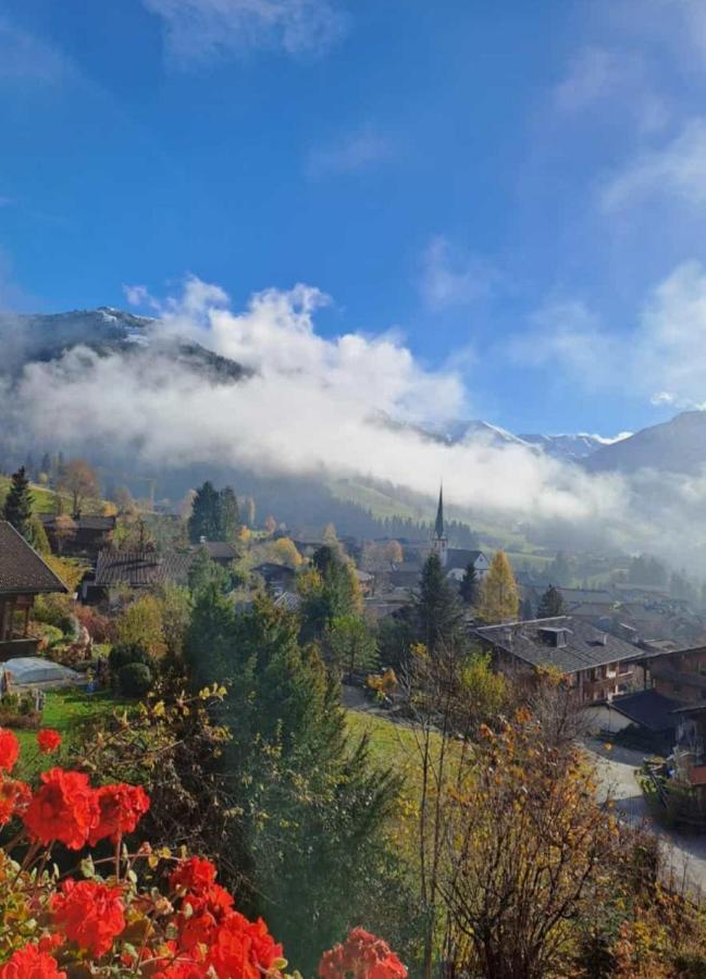 Haus Raimund " Klein Aber Fein " Apartment Alpbach Ngoại thất bức ảnh