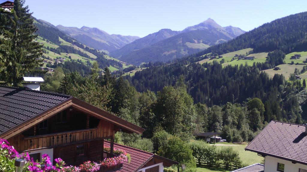 Haus Raimund " Klein Aber Fein " Apartment Alpbach Ngoại thất bức ảnh